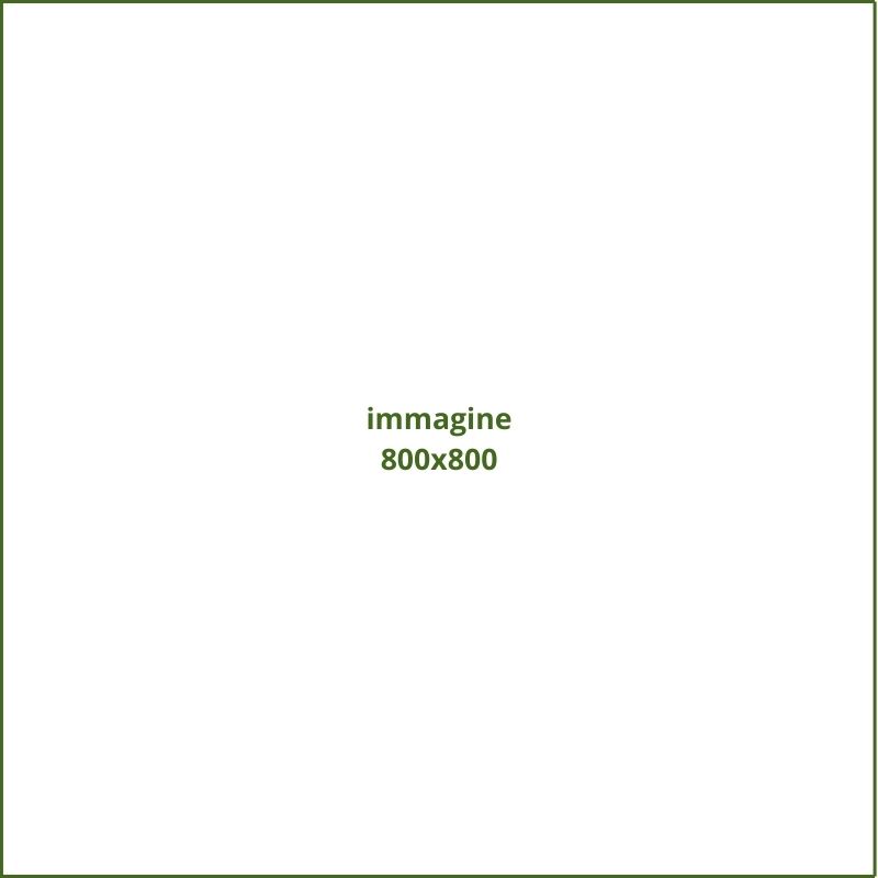immagine 800x800